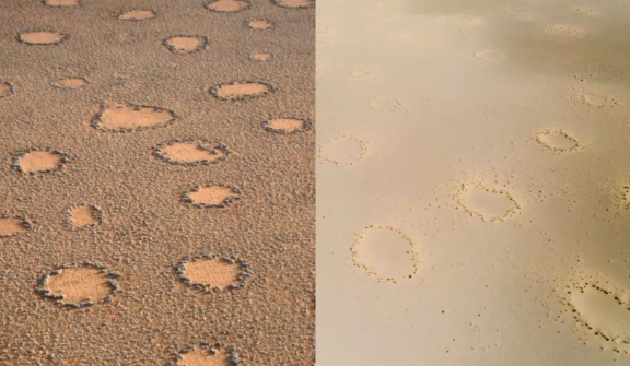 Mysterious ‘fairy circles’ may appear all over the world, leaving scientists baffled