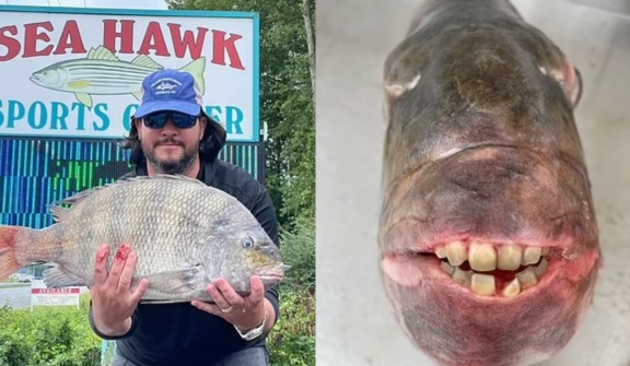 Fisherman stunned after catching ‘human teeth’, but daughter wants it for tooth fairy