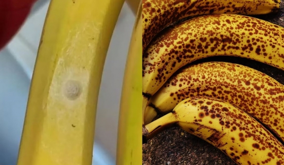 Shopper issues a warning about tiny dots found on bananas