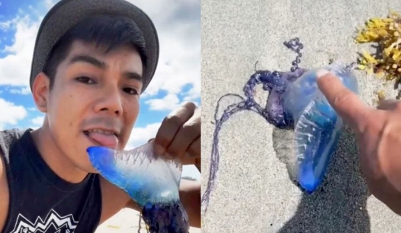 Man picks up and licks 'slimy creature without realizing it could be a threat to his life