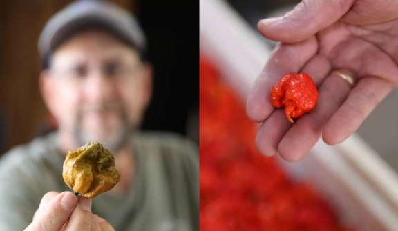  Pepper X has captured the Guinness World Record for the world’s spiciest chili