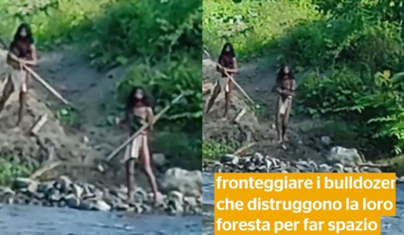 Dramatic footage shows an uncontacted tribe confronting a bulldozer near nickel mine