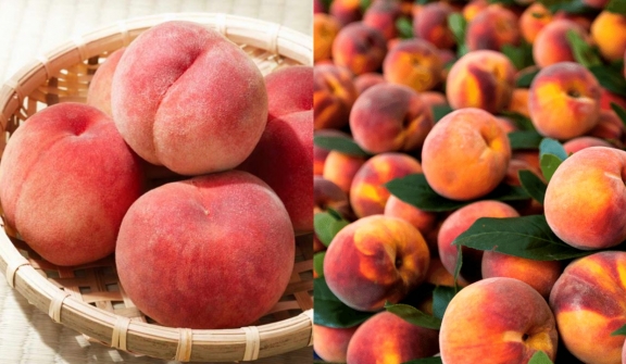 People are just discovering what the fuzzy stuff that grows on peaches actually is