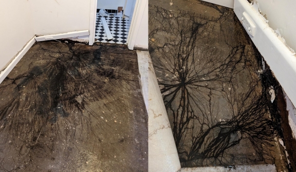 Homeowner stunned after spotting strange slime under floors