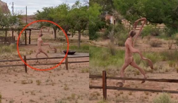 Bizarre creature with floppy arm, spotted on Google Street, leaving users baffled