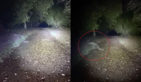 Dog walker spots 'demonic figure' crawling across the path of country park 'haunted'