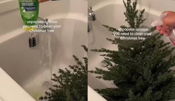 Woman sparks debate after revealing she DEEP CLEANS her Christmas tree 