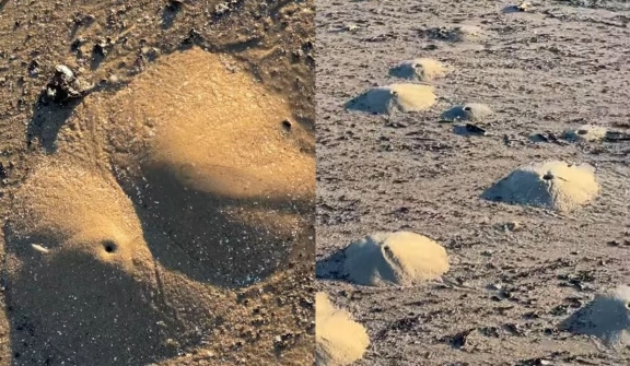 ‘Mini volcanoes’ made of mounds of sand pop up along Texas beach 