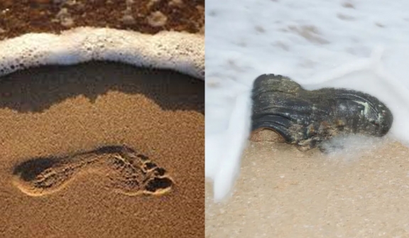 Mystery of human feet washing ashore in the US and Canada solved after 10 years 