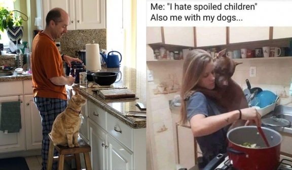 10+  Dads pampering pets that will make you jealous