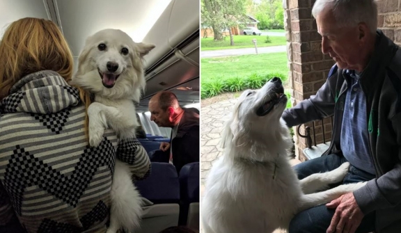 14 animals express their feelings without speaking