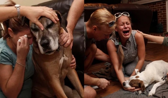 15 pic heartbreaking photos of owners saying goodbye to their beloved old dogs