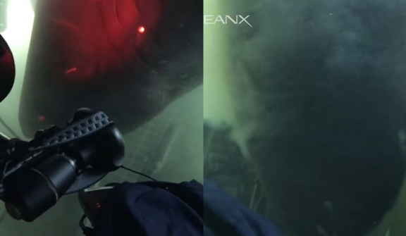 Divers stunned after spotting massive deep-sea shark checking out their submarine