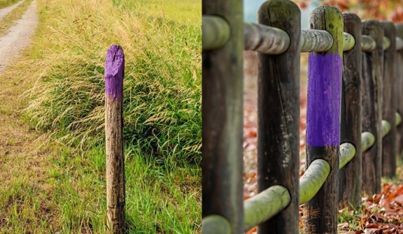 If you see a purple fence in the U.S, what does it mean?