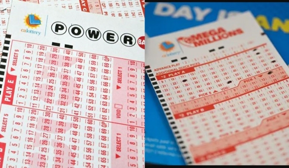 Harvard Professor stuns people by revealing best ways to increase your chances of winning the lottery