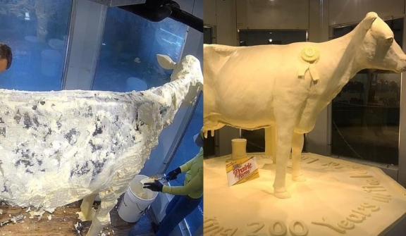 People lost their minds after realizing Iowa State Fair butter cow was not completely made of butter