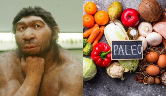 New study reveals cavemen 'may have been vegan' 