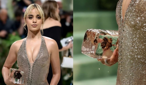 Camila Cabello explains why she attended the 2024 Met Gala with a block of ice in her hand