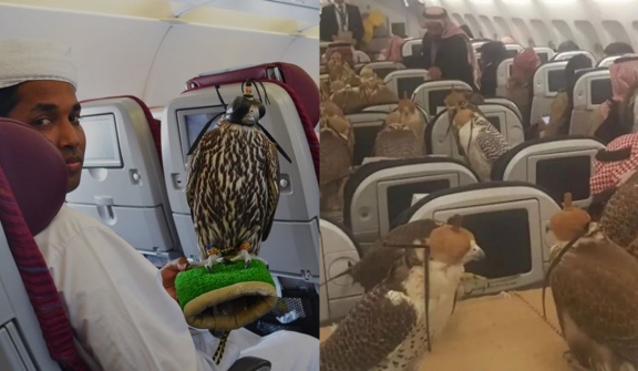 Saudi prince sparks debate after buying 80 airline seats for his Falcons