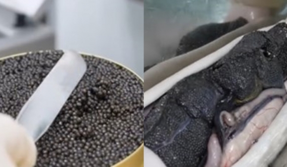 People vow never to eat caviar again after worker reveals how it is harvested