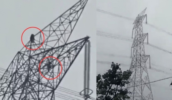 Love's height: Girl's 80 foot climb up electricity tower post-argument