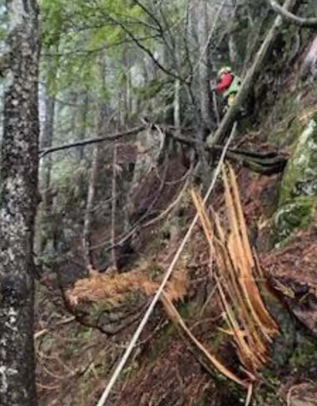 Hiker was stuck on a dangerous cliff after following a fake trail on Google Maps 2