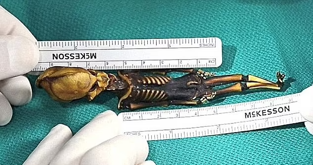 UFO hunters claim 'alien' mummy is remains of a six-Inch extinct species, sparking debate about its origin 3