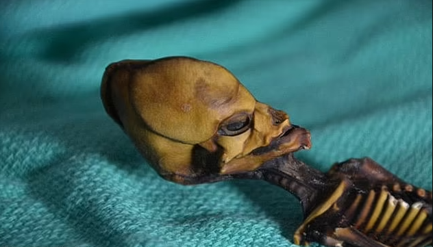 UFO hunters claim 'alien' mummy is remains of a six-Inch extinct species, sparking debate about its origin 5