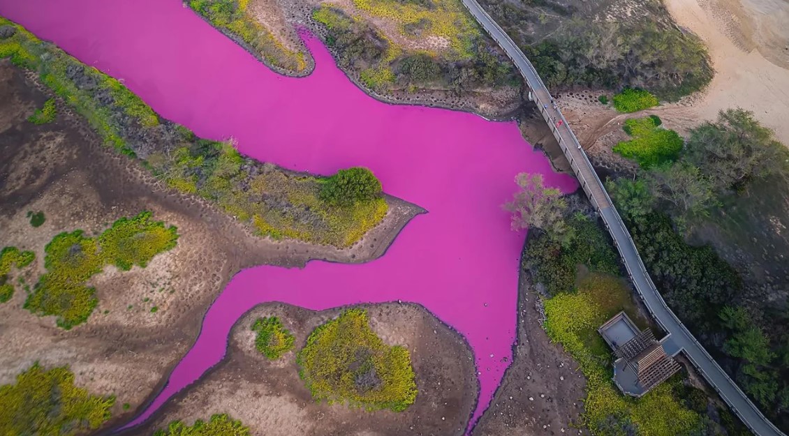 Water in Hawaii suddenly turns a strange magenta color, sparking warning theories 1