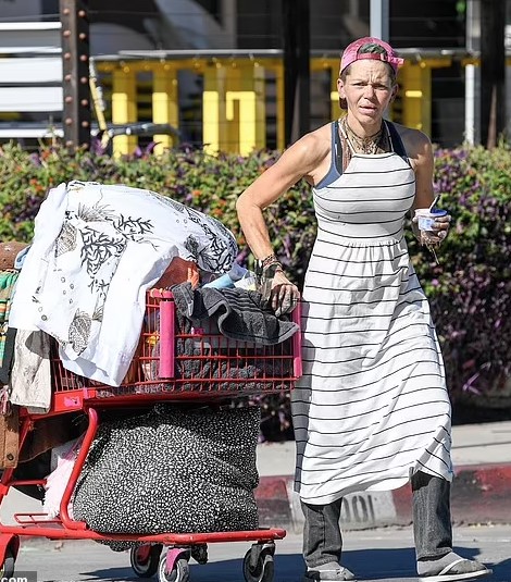 Loni Willison, Ex-Wife of Baywatch Star Jeremy Jackson, seen wheeling her possessions on the street 1