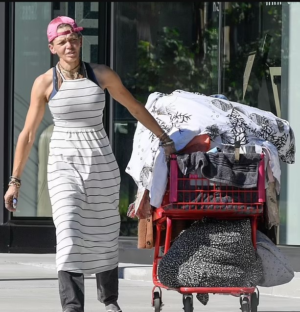 Loni Willison, Ex-Wife of Baywatch Star Jeremy Jackson, seen wheeling her possessions on the street 4