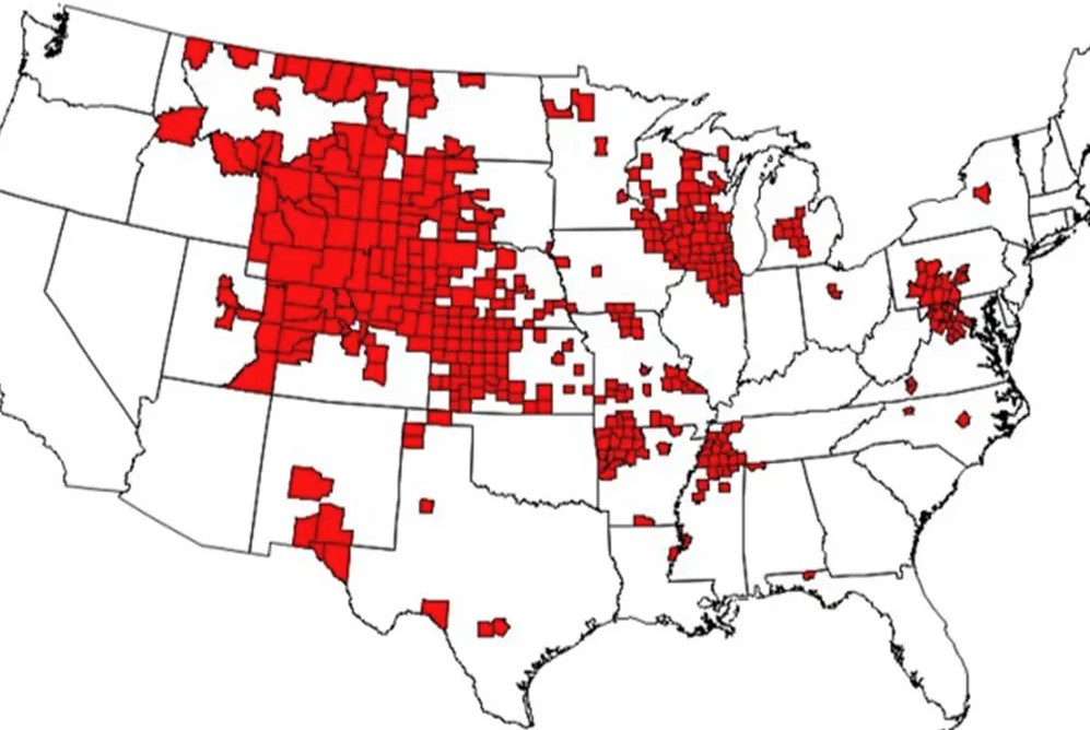 'Zombie deer' may be spreading disease risk to humans 3