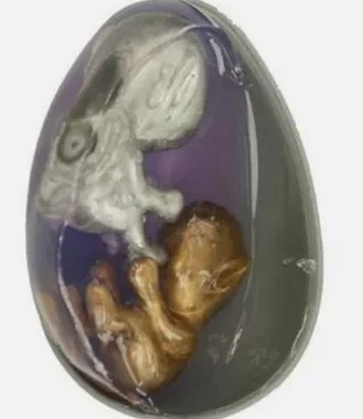 The unsolved mystery behind the toy alien egg in the 90s 1