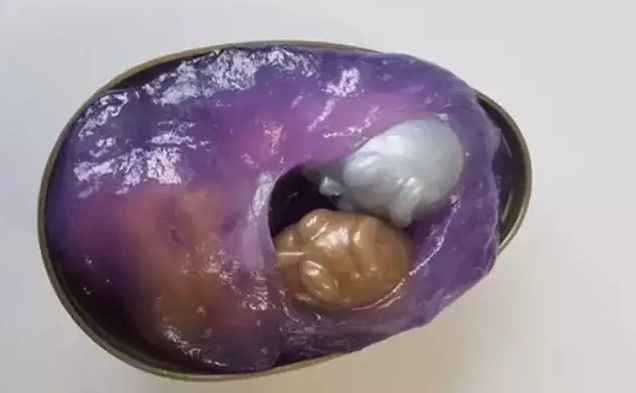The unsolved mystery behind the toy alien egg in the 90s 3