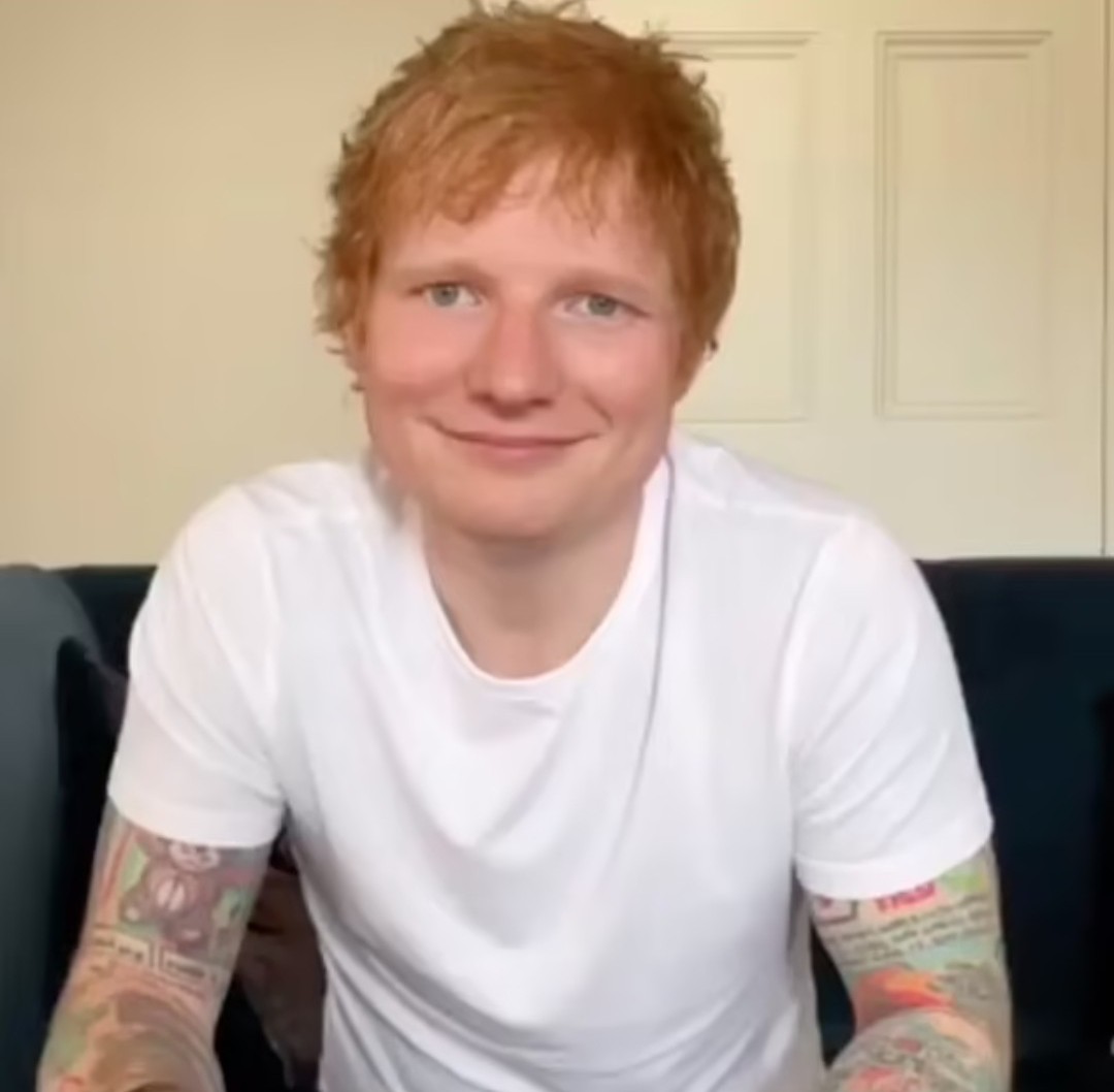 Ed Sheeran sells clothes covered in his cat's hair to raise money for charity 1