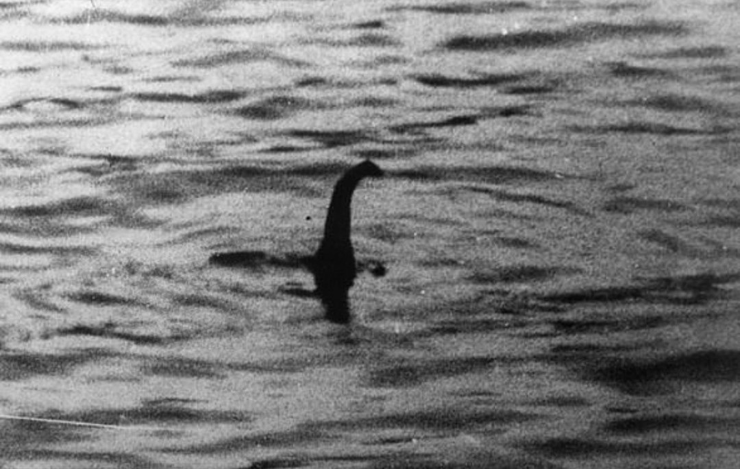 Footage captured of 'Loch Ness monster' moving 'like a torpedo' before disappearing on the surface? 3