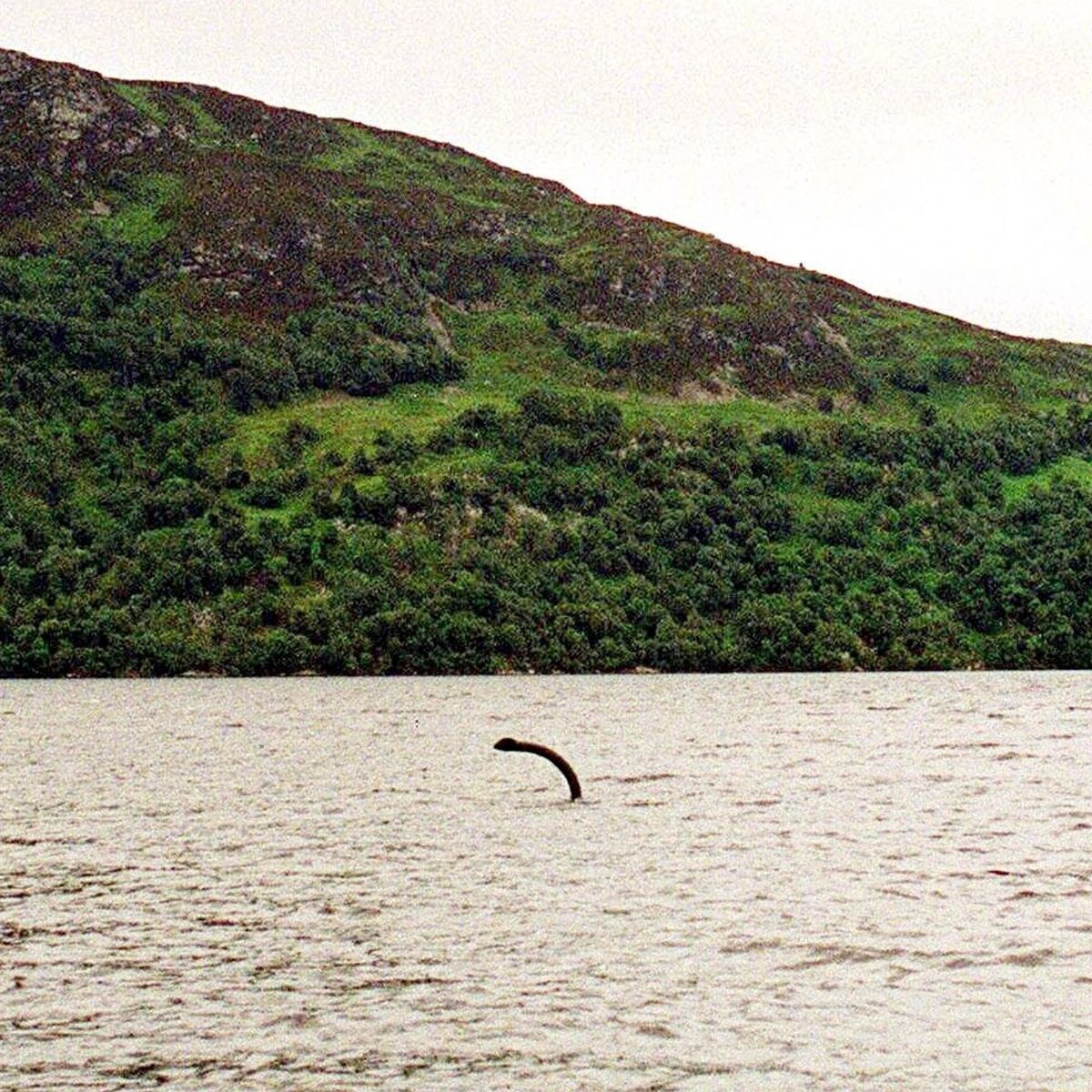 Footage captured of 'Loch Ness monster' moving 'like a torpedo' before disappearing on the surface? 4