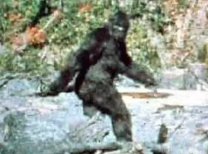 Bigfoot hunter stunned after spotting nine-inch footprint with five stumpy toes of the legendary beast 3