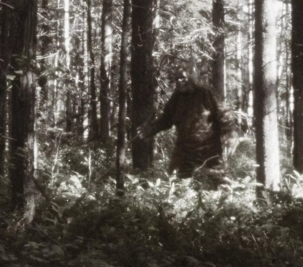 The Bigfoot's existence is still unclear, but the majority suppose it was a confusion or prank. Image Credit: Wikipedia