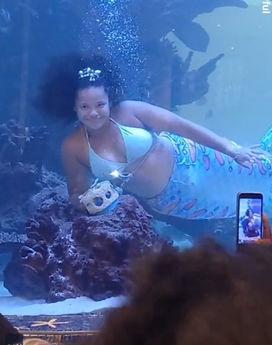 'Mermaid' nearly drowned after her tail got stuck on coral during the performance 1