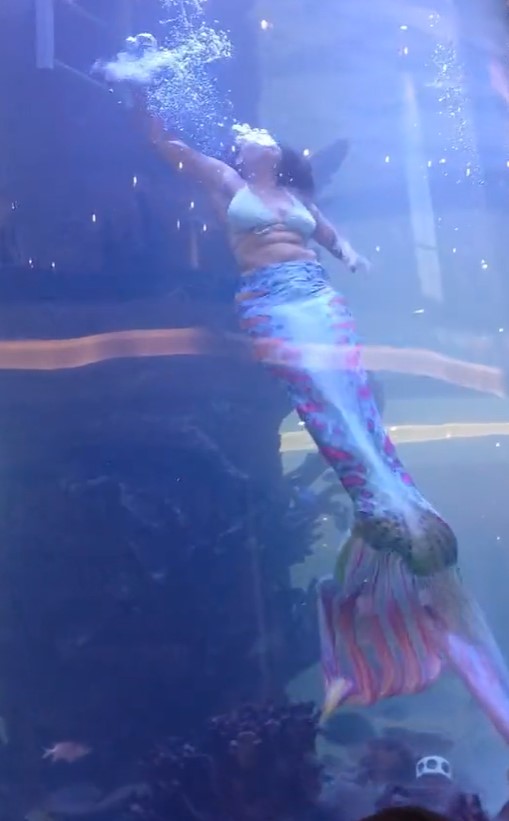 'Mermaid' nearly drowned after her tail got stuck on coral during the performance 2