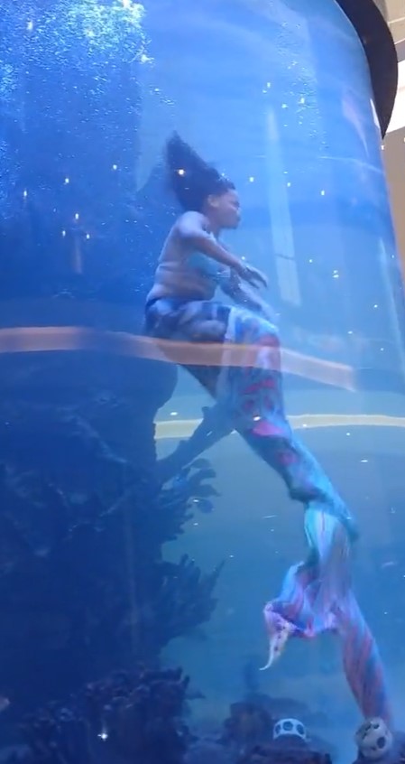 'Mermaid' nearly drowned after her tail got stuck on coral during the performance 3