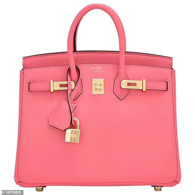 Rich woman criticized for revealing baby's gender with a $32,550 pink hermes BIRKIN bag 4