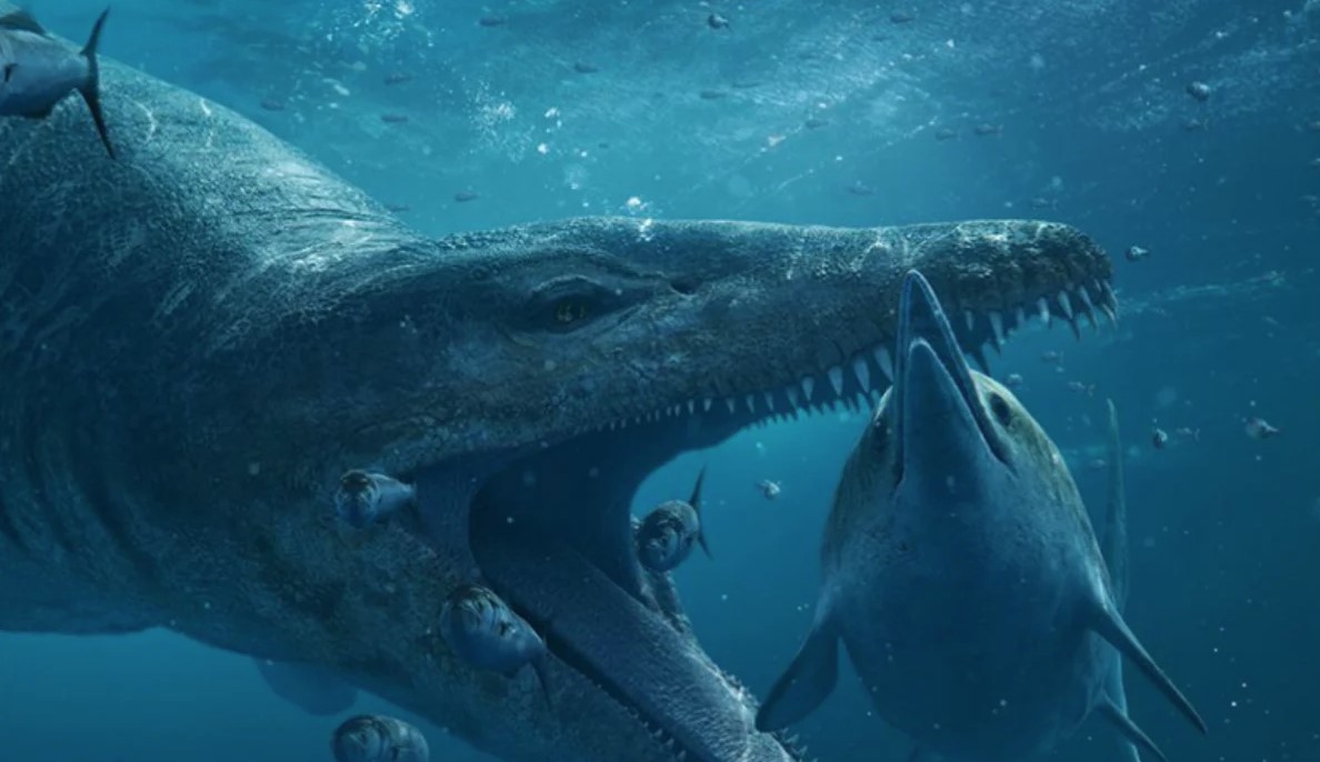 Enormous Pliosaur skull of ancient sea monster discovered on the cliffs of Dorset 2