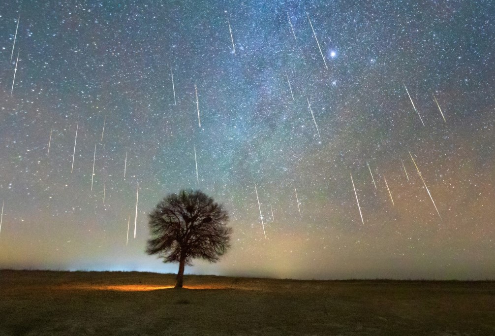 'The best meteor shower of the year' happening this week: How to see it? 1
