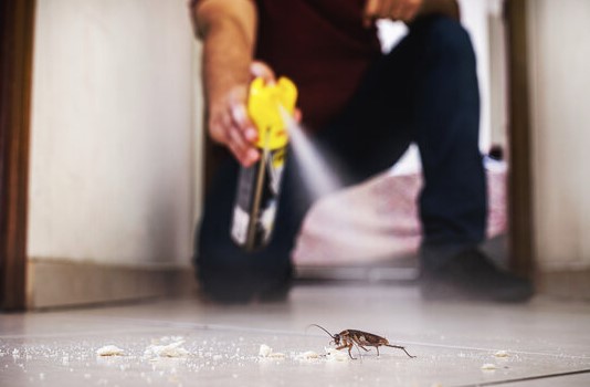 Man set his apartment on fire just after getting rid of a cockroach with insecticide 3