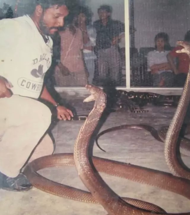 Man dubbed the Snake King was once locked up for 40 days in a room with 400 cobras 1