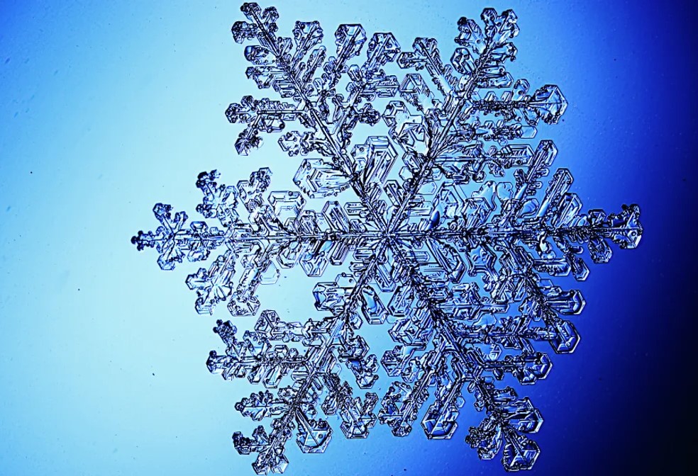 Record-breaking snowflake that was the size of a large pizza 2