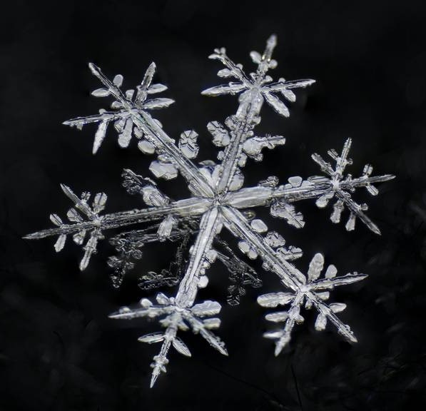 Record-breaking snowflake that was the size of a large pizza 1