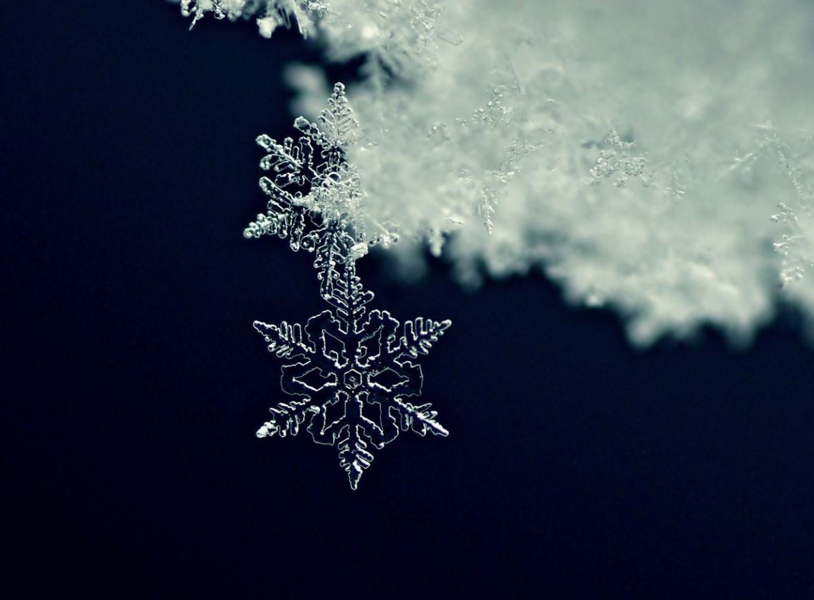 Record-breaking snowflake that was the size of a large pizza 3